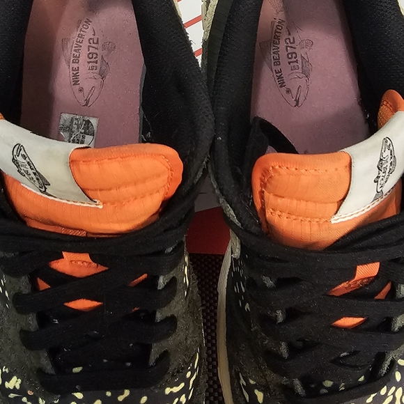 Used No Box,Size 7.5 - Nike Dunk SE Low Gone Fishing - Rainbow Trout - Picture 5 of 9